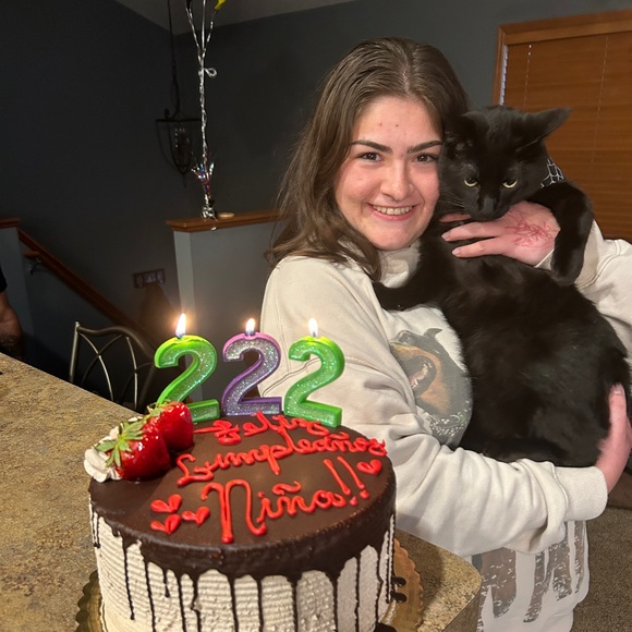 Meet your Posher, Jacey and Ginger - Picture 6 of 11